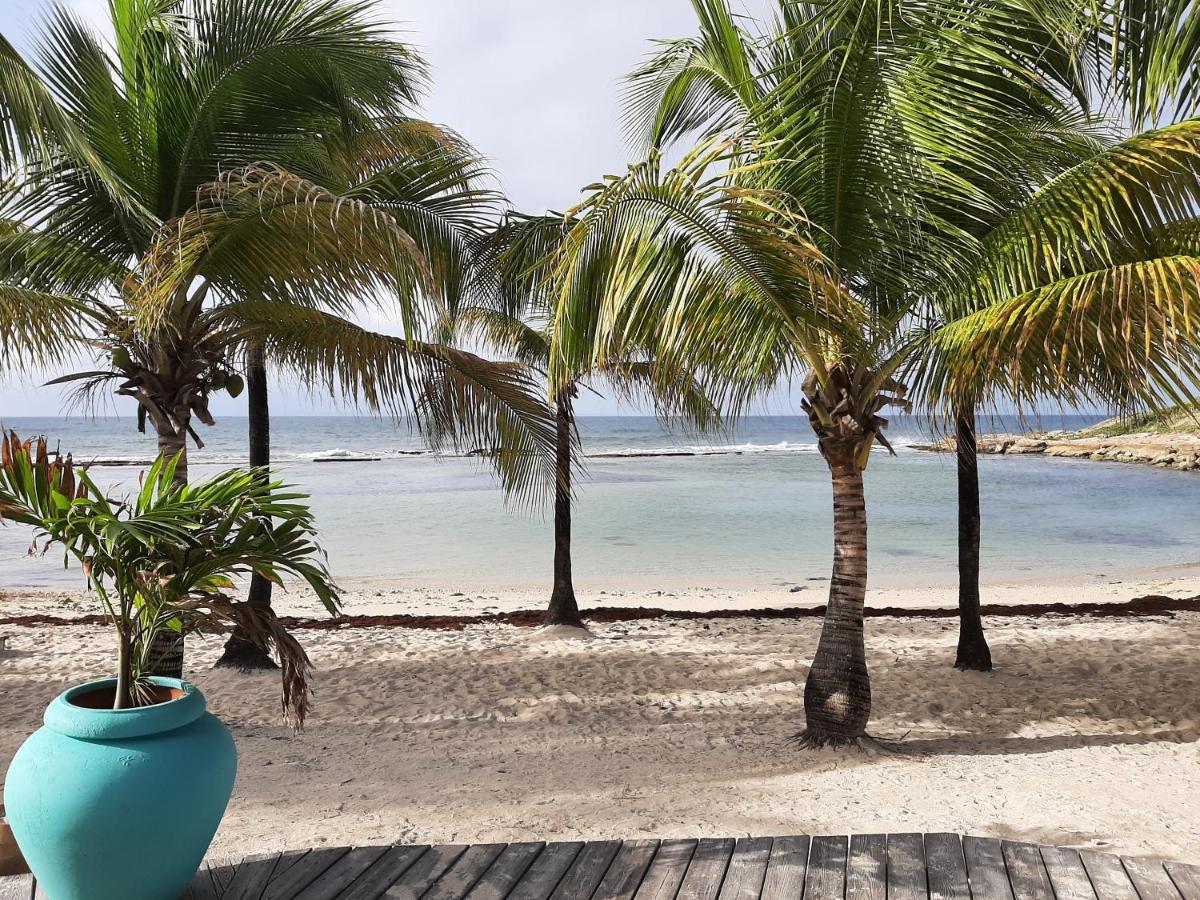 F3 _ Kaz Ananas Passion Au Manganao Saint-Francois (Grande-Terre) Exterior foto
